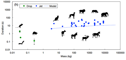 变线人生 产品图片