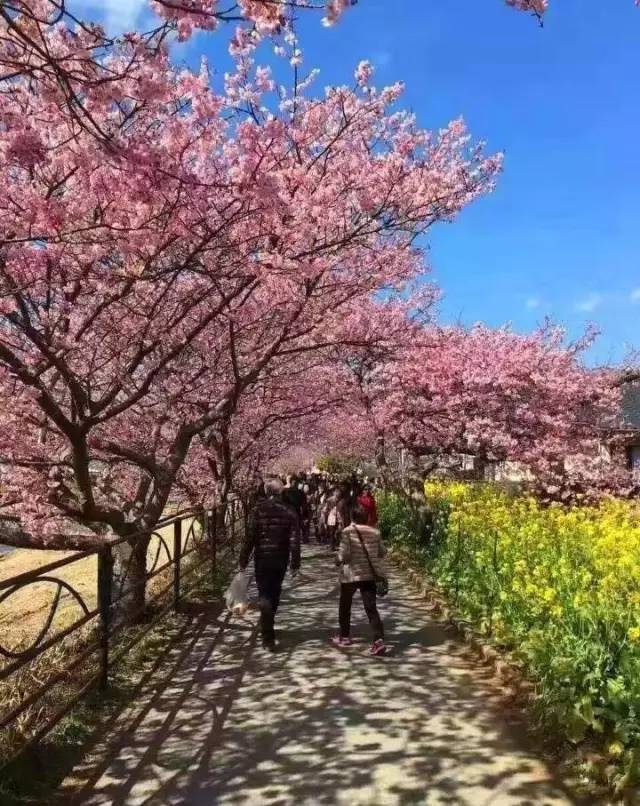 侠盗之歌 相关产品