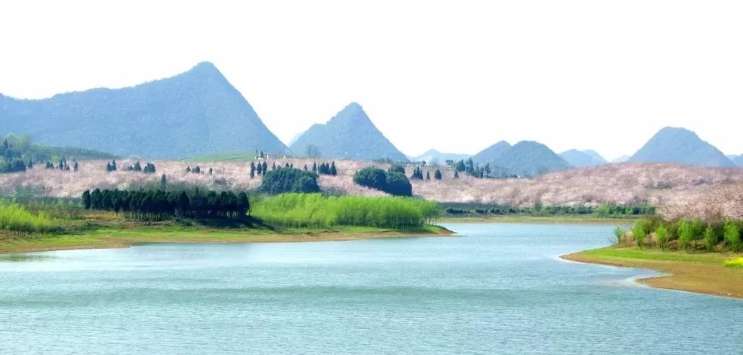 反物质危机 推荐产品