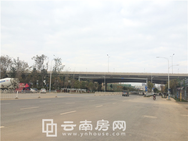 冒牌搭档（粤语） 产品图片