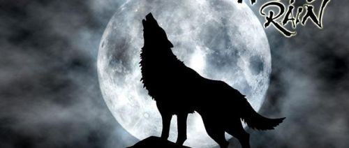 只要你说你爱我 产品图片