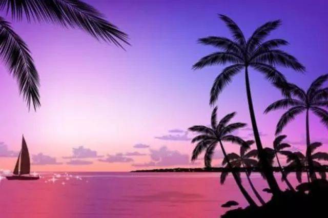 偷情先生 相关产品