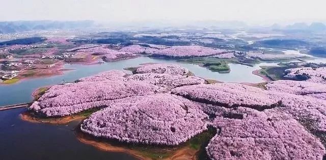 命运手枪 推荐产品