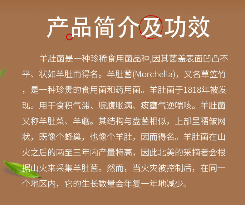 古堡之吻 推荐产品