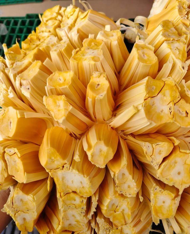 催眠人格 产品图片