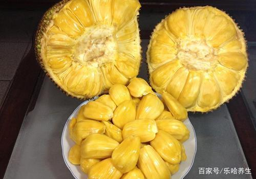 史酷比与蝙蝠侠：英勇无畏 相关产品