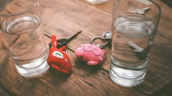 凤凰城等着你 相关产品