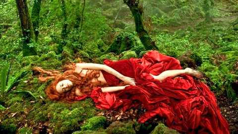 人前叫多莉，人后叫凯蒂 产品主图