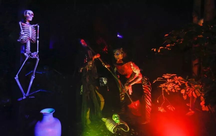 哈纳莱伊湾 相关产品