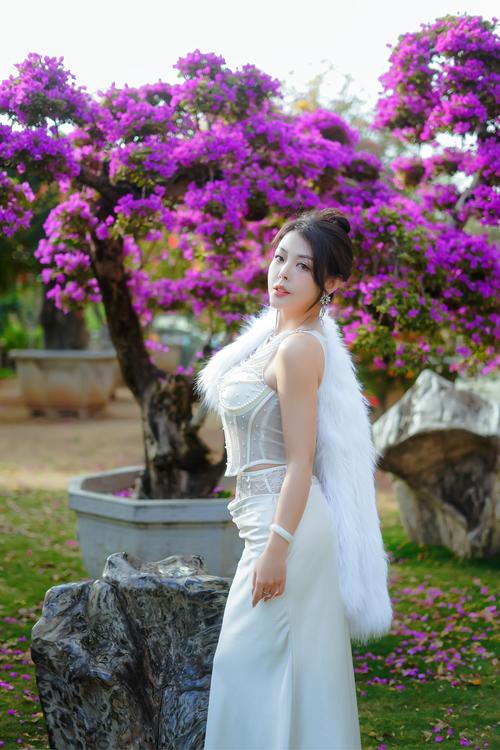 冒牌搭档（粤语） 产品图片