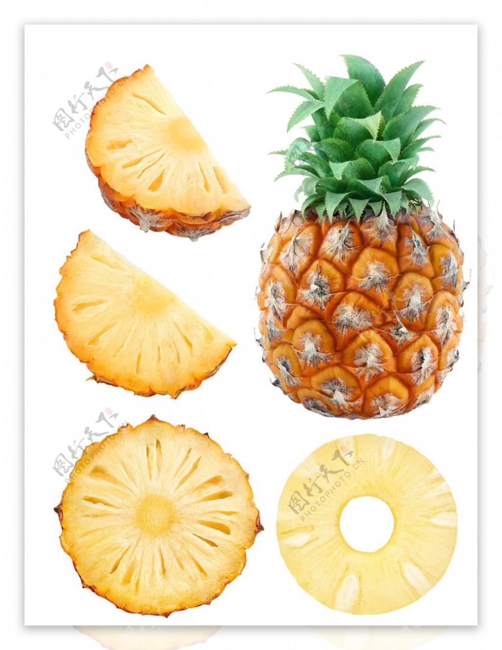 侏罗纪崛起 产品主图