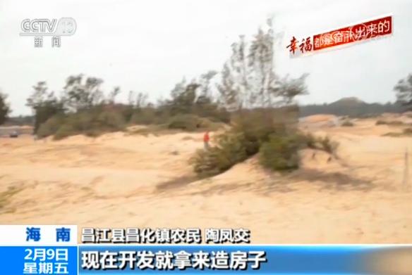 亿万神犬 产品主图