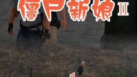 保你平安 产品图片