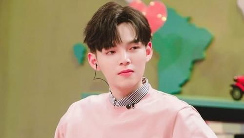 在巨大的洋葱之下 推荐产品