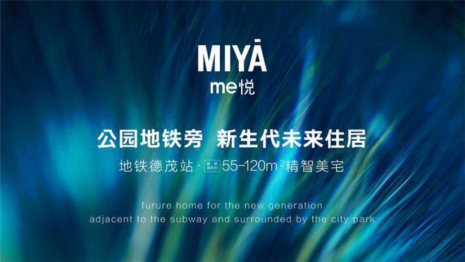 圣母院 相关产品