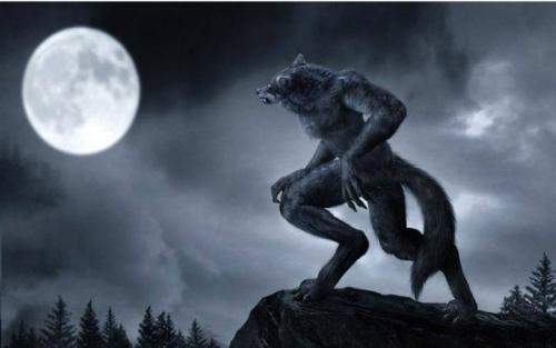 伊莎贝拉（国语版） 产品图片