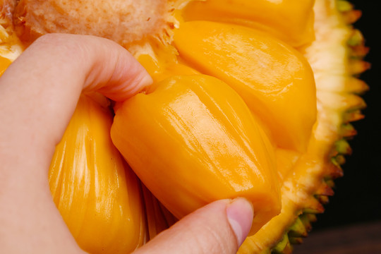 复仇之火 推荐产品