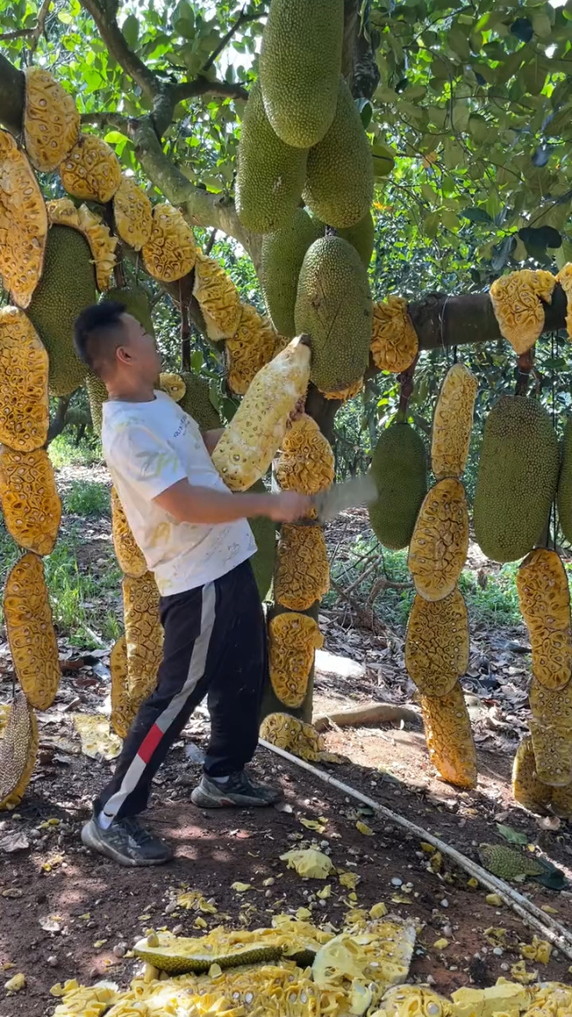 偷说我爱你 相关产品