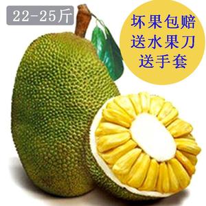 堂下何人 产品图片