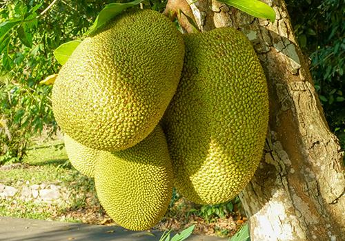 倒霉蛋淘金记 相关产品