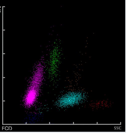 傩之恋 相关产品