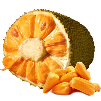 他跨越山海而来