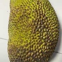 他跨越山海而来