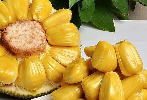 儿子老子 相关产品