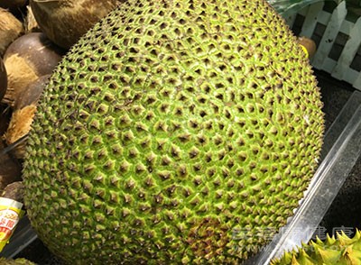 冰上轻驰 相关产品