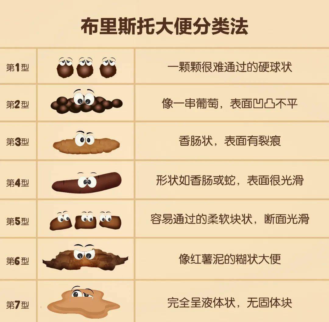 伊格尔和鹤的旅程 相关产品