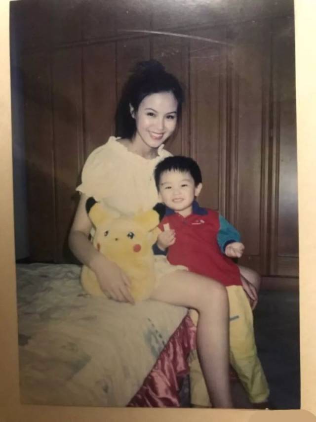 卧底飞龙2 产品图片