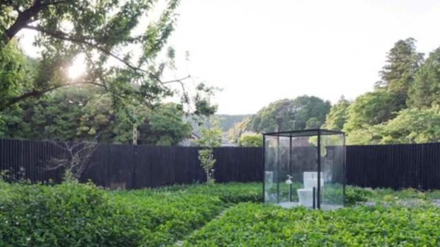 冰肤传说 相关产品