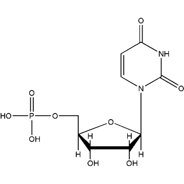 你是最美 相关产品