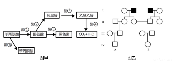 冷面虎 相关产品