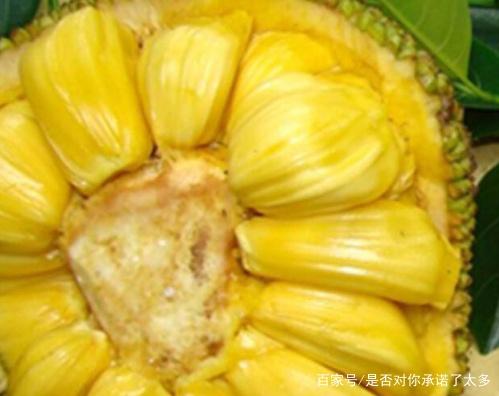 冒牌家庭 产品图片