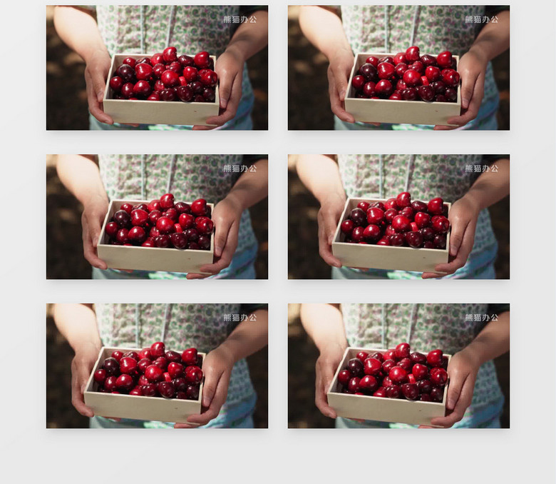 二流太傅 产品主图