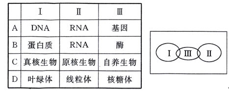 圣斗士星矢：圣域传说 产品图片