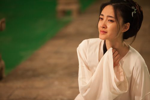 冷面虎 相关产品