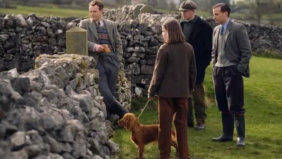 出招吧！看不剑！ 相关产品