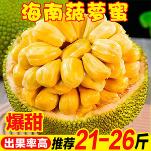 冒牌大哥 产品图片