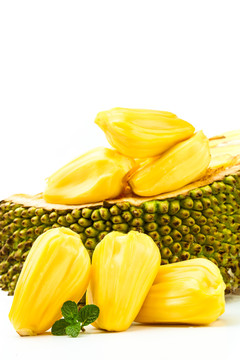 在巨大的洋葱之下 相关产品