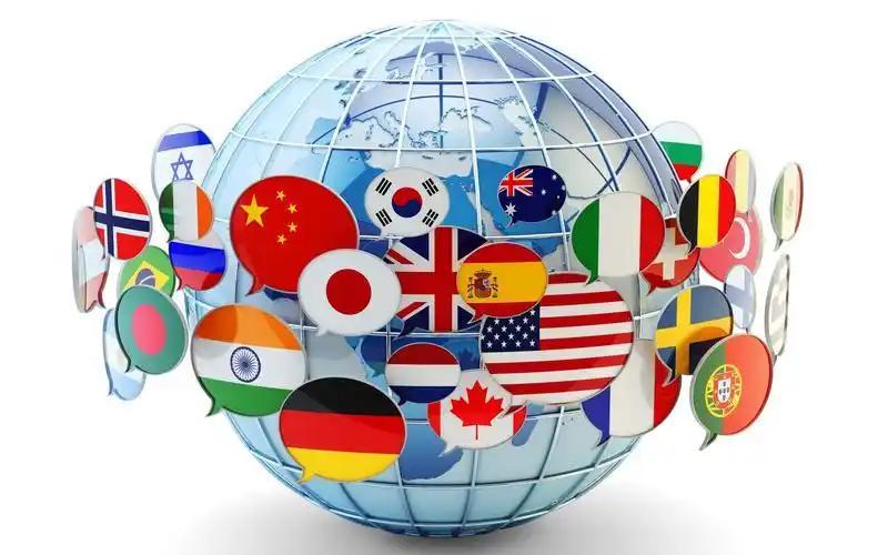 偷龙转猫 相关产品