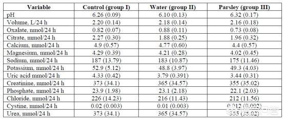 傲慢与善良 相关产品