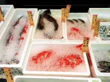 僵尸再翻生 推荐产品