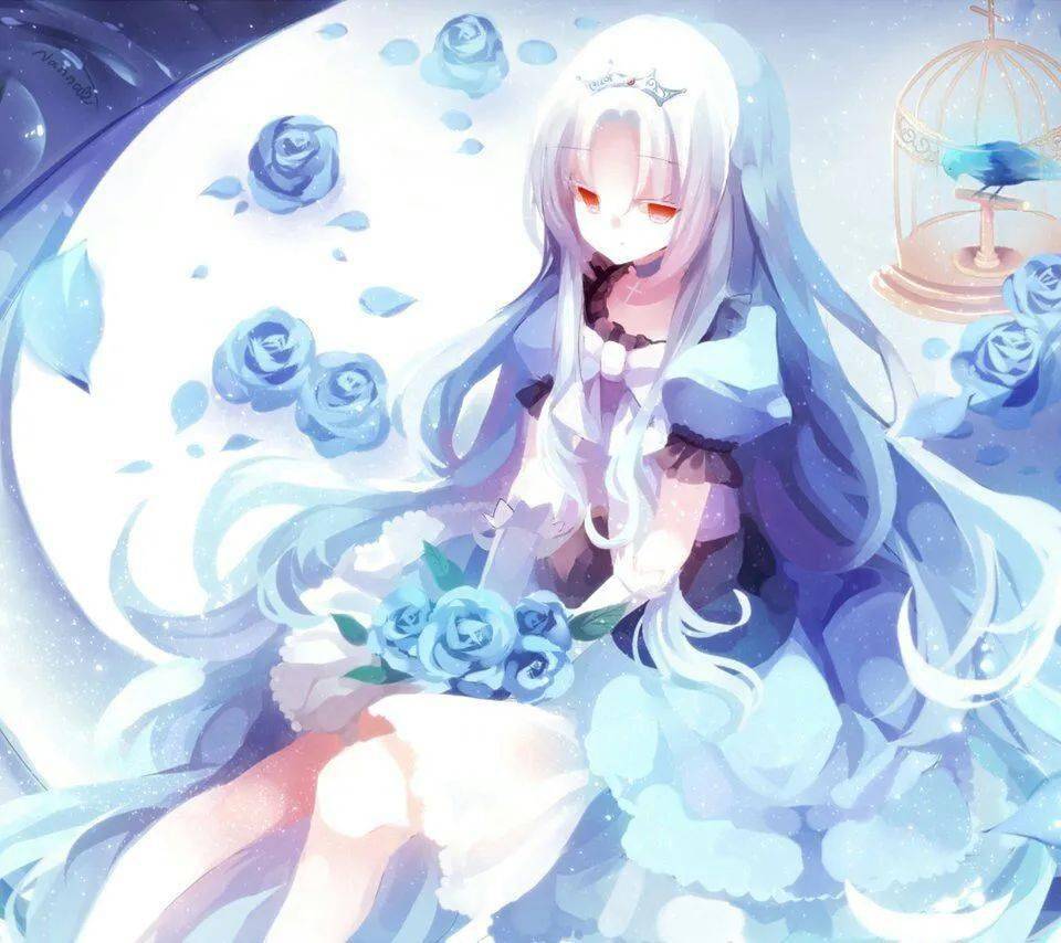 农民院士 产品图片