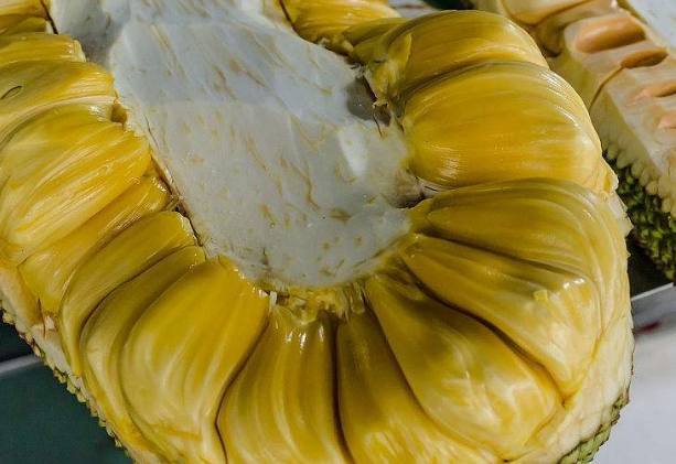 伊格尔和鹤的旅程 相关产品