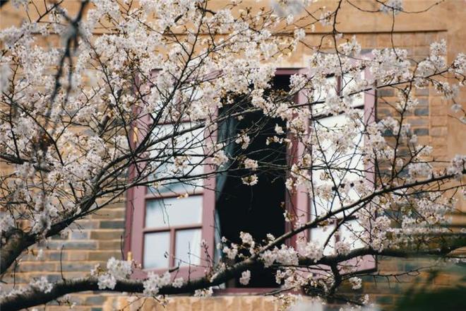 冰河的诅咒 产品图片