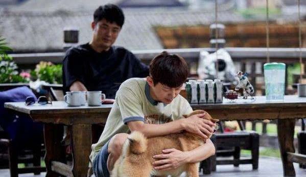 侠僧探案传奇之洛阳花会