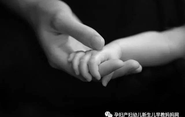 侏罗纪世界 产品图片