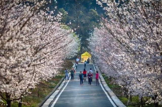 为你钟情2010（国语版）